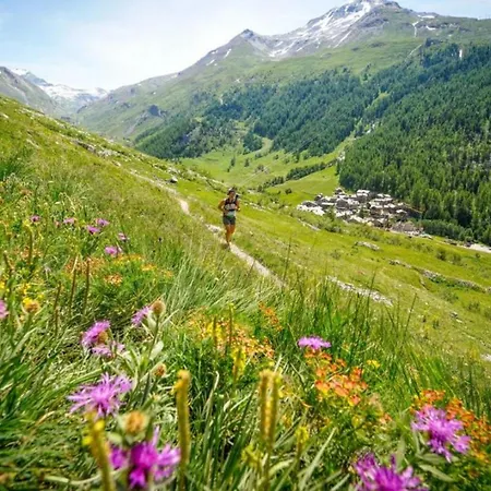 Apartamento Mont Du Soleil - Mont Blanc Chamonix Mont Blanc